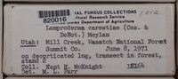 Image Associated With the Occurence